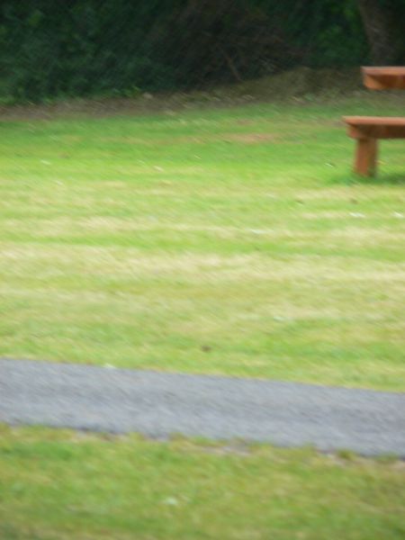 gal/Triathlon Coetquidan 27 mai 2007/P1160895.JPG